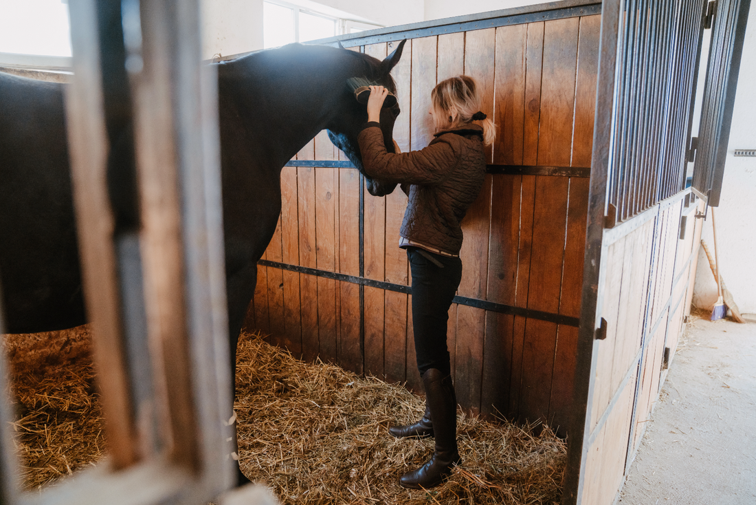 women brushing horse in stable