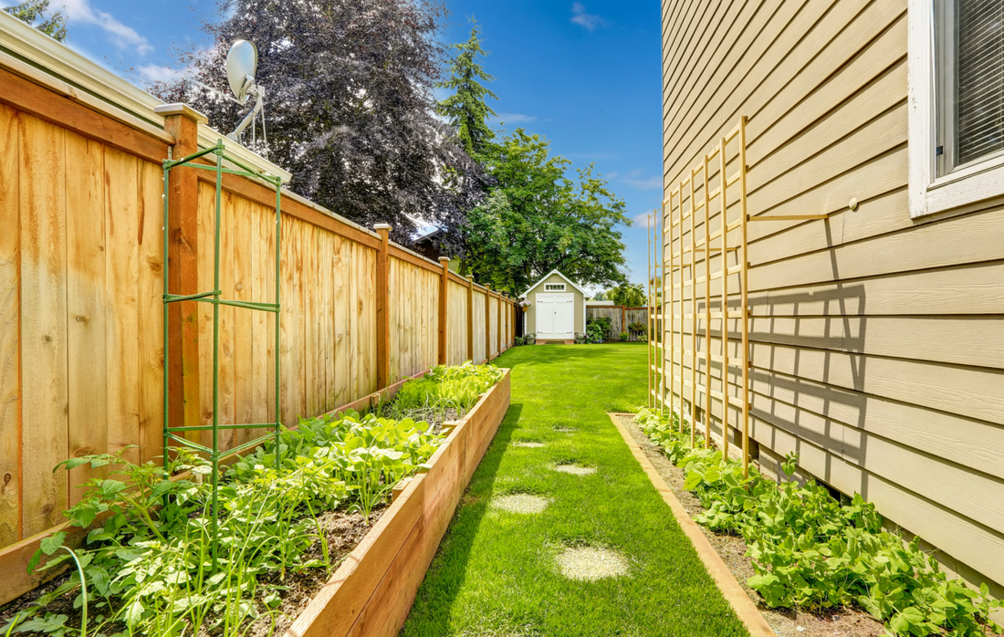 image of garden with shed in the back
